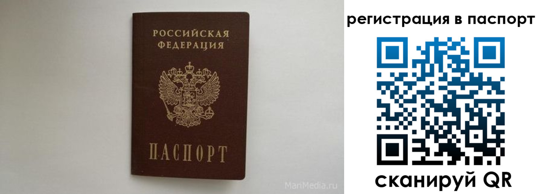 прописка в Борзе